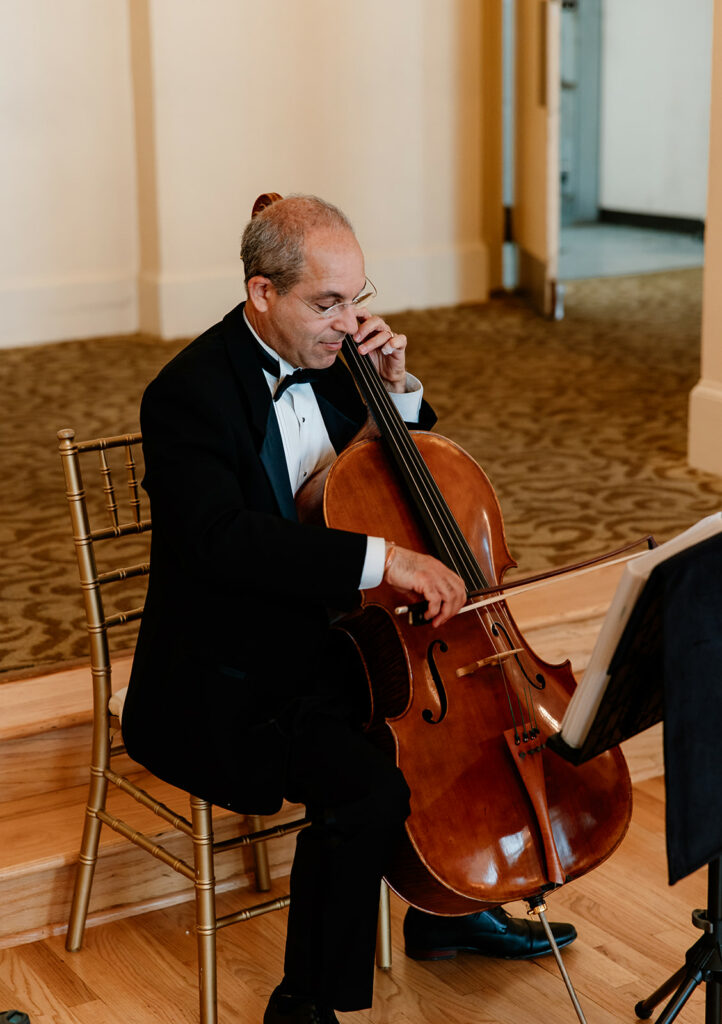 Wedding Insurance Coverage Live Violinist Vendor