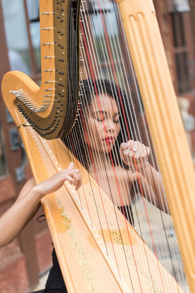 Wedding Insurance Liability Coverage Harpist Live Music